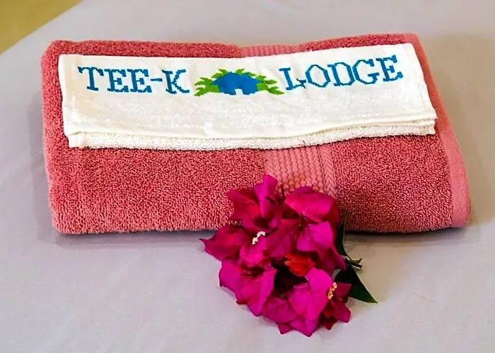Tee-k 2*